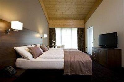 фото отеля Bohinj Park Hotel Bohinjska Bistrica