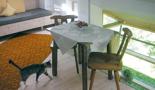 фото отеля Innerwiesn Apartment Mayrhofen