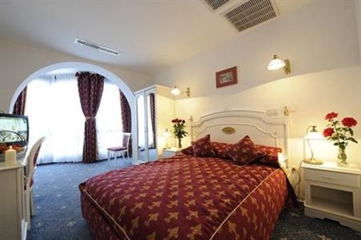 фото отеля Hotel Phoenix Vata de Jos