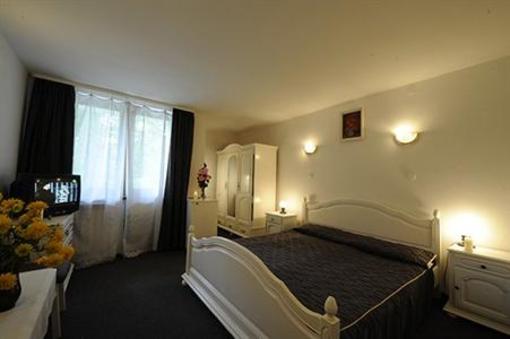 фото отеля Hotel Phoenix Vata de Jos