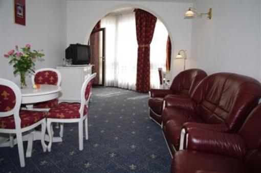 фото отеля Hotel Phoenix Vata de Jos
