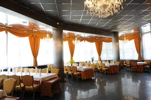 фото отеля Hotel Phoenix Vata de Jos