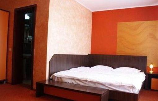 фото отеля Complex Turistic Max International Hotel Rasnov