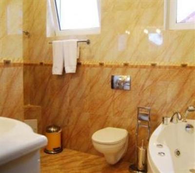фото отеля Complex Turistic Max International Hotel Rasnov