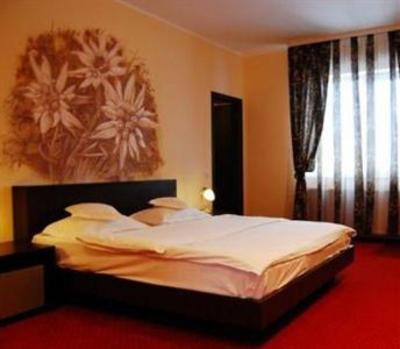 фото отеля Complex Turistic Max International Hotel Rasnov