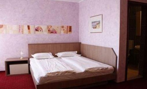 фото отеля Complex Turistic Max International Hotel Rasnov