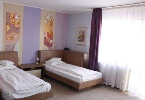 фото отеля Complex Turistic Max International Hotel Rasnov