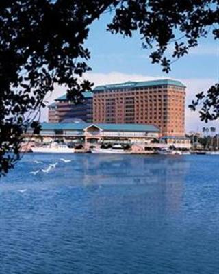 фото отеля Westin Tampa Harbour Island