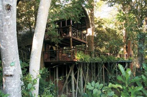 фото отеля Serenity Forest Eco Reserve Hotel Malelane