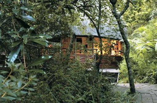 фото отеля Serenity Forest Eco Reserve Hotel Malelane