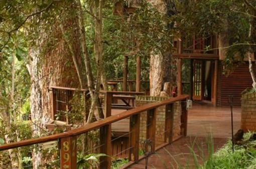 фото отеля Serenity Forest Eco Reserve Hotel Malelane