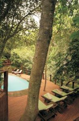 фото отеля Serenity Forest Eco Reserve Hotel Malelane