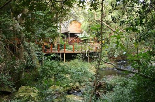 фото отеля Serenity Forest Eco Reserve Hotel Malelane