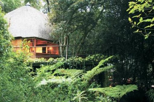 фото отеля Serenity Forest Eco Reserve Hotel Malelane