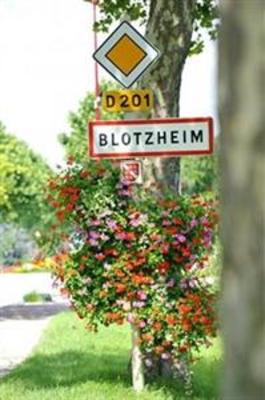 фото отеля Inter Hotel Captain Blotzheim