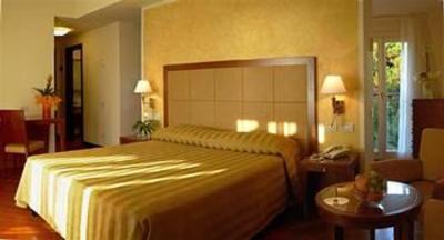 фото отеля Versilia Palace Hotel