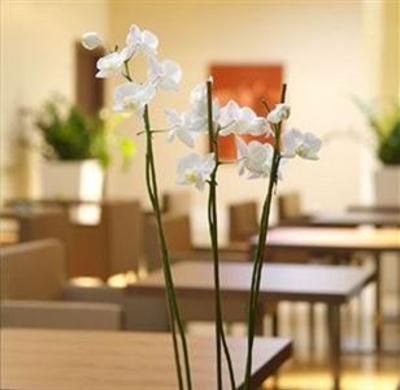 фото отеля Sweet Hotel Schiavon