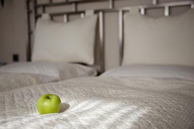 фото отеля Hotel Metropol St. Gallen