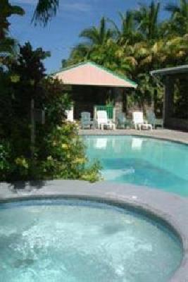 фото отеля Lazy Parrot Inn Rincon (Puerto Rico)