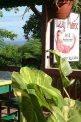 фото отеля Lazy Parrot Inn Rincon (Puerto Rico)