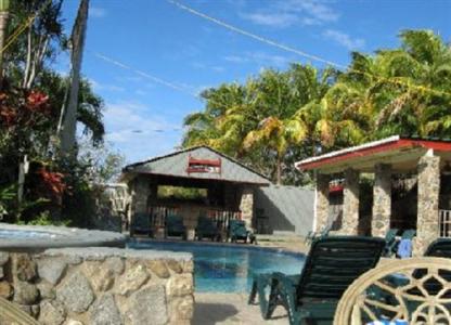 фото отеля Lazy Parrot Inn Rincon (Puerto Rico)