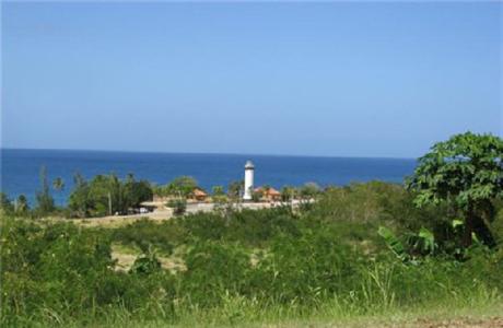 фото отеля Lazy Parrot Inn Rincon (Puerto Rico)