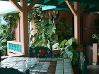 фото отеля Lazy Parrot Inn Rincon (Puerto Rico)