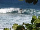 фото отеля Lazy Parrot Inn Rincon (Puerto Rico)