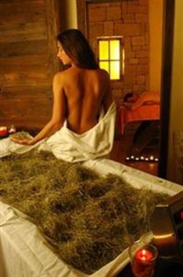 фото отеля Wellness & Family Hotel Shandranj