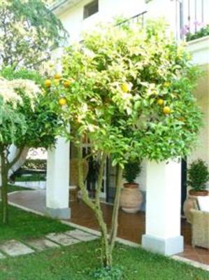 фото отеля Agriturismo Ghiaccio Bosco