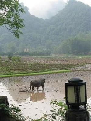 фото отеля Yangshuo Mountain Retreat