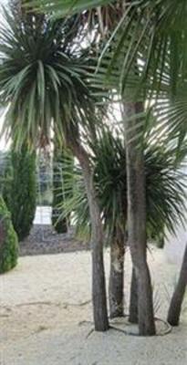 фото отеля Villa Nazules Hipica Spa