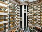 фото отеля Embassy Suites Hotel Raleigh-Durham (Cary)