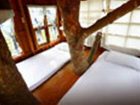 фото отеля Pai Treehouse Resort Mae Hong Son