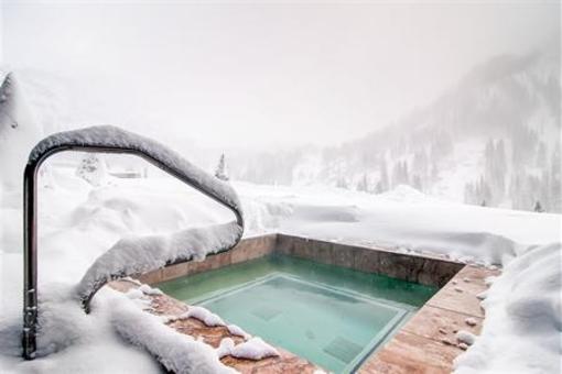 фото отеля Snowpine Lodge
