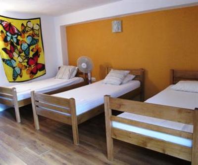 фото отеля The Wild Fig Hostel