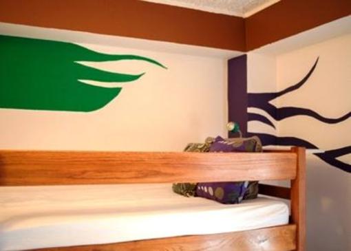 фото отеля The Wild Fig Hostel