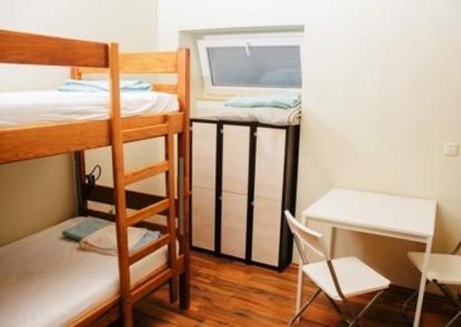 фото отеля The Wild Fig Hostel