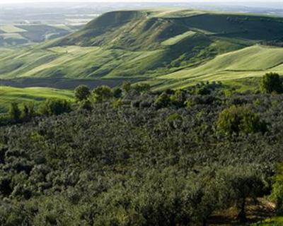 фото отеля Il Barbagianni