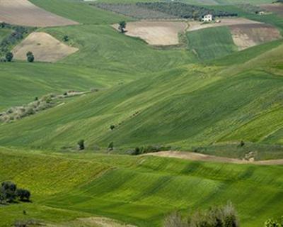 фото отеля Il Barbagianni
