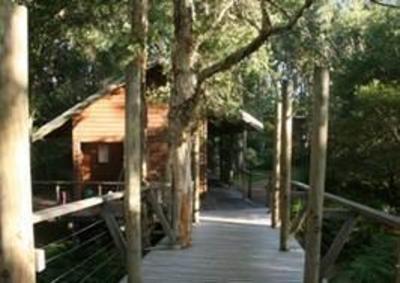 фото отеля Melaleuca Surfside Backpackers