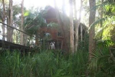 фото отеля Melaleuca Surfside Backpackers