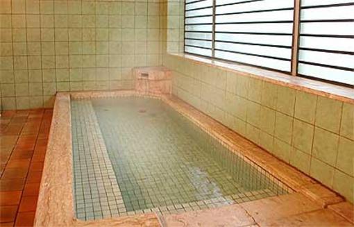 фото отеля Okukinosaki Seaside Hotel