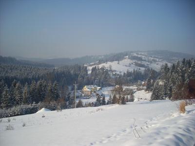 фото отеля Dom Lesny