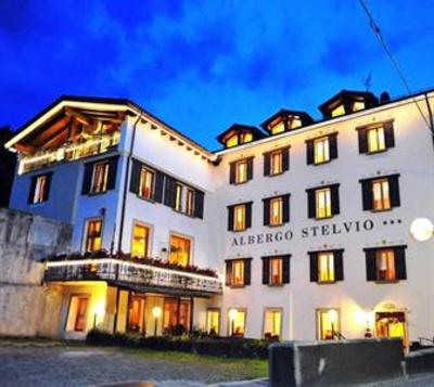 фото отеля Stelvio Hotel