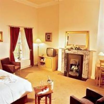фото отеля Roganstown Hotel and Country Club
