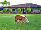 фото отеля Finca Turistica La Holanda