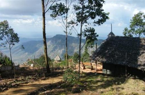 фото отеля MamboViewPoint Lodge