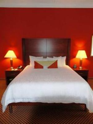 фото отеля Hilton Garden Inn Houston West Katy Mills