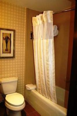 фото отеля Hilton Garden Inn Houston West Katy Mills